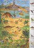 Книга: Жизнь динозавров. Виммельбух ROS-38053 Книга: Жизнь динозавров. Виммельбух ROS-38053