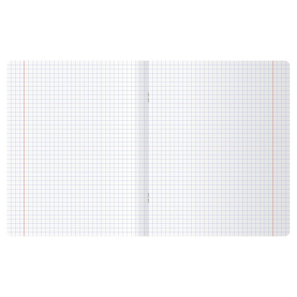 Тетрадь 48л. A5 клетка BG "Стильная капибара" RE-Т5ск48_12267