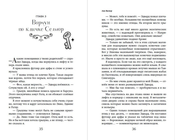 Книга: Магические агенты. Феи в Дублине! EKS-910525