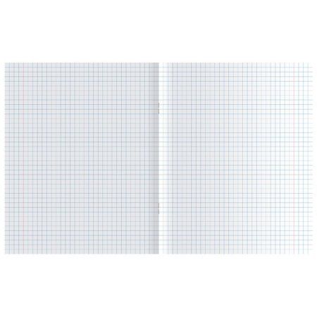 Тетрадь 48л. A5 клетка BG "Природа цвета" эконом RE-Т5ск48 8628