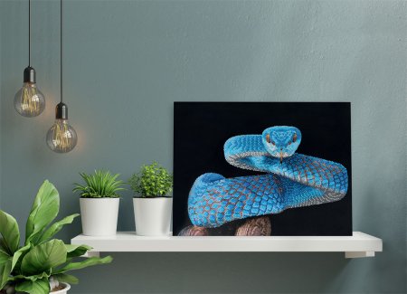 Кристальная (алмазная) мозаика ФРЕЯ постер "Змея" 40 х 30 см ALBP-311