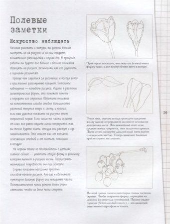 Книга: Ботаническая иллюстрация. Пошаговое руководство. От эскиза до готовой композиции EKS-001421