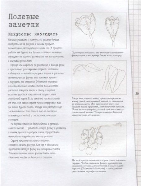 Книга: Ботаническая иллюстрация. Пошаговое руководство. От эскиза до готовой композиции EKS-001421