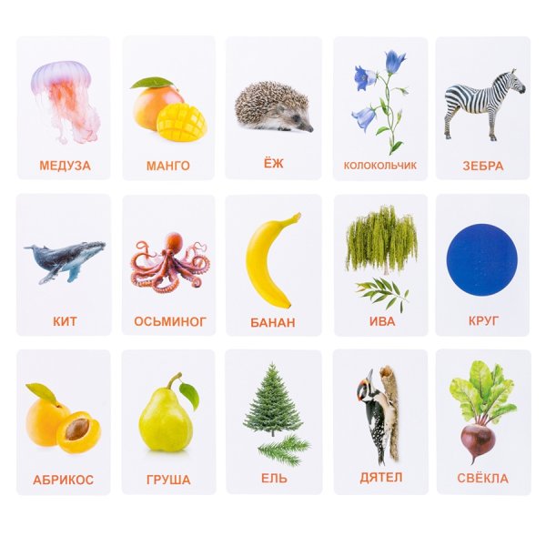 Обучающие карточки "Мир вокруг" 128 картинок KOR-05980