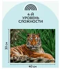 Картина по номерам на картоне ТРИ СОВЫ "Тигр" 30 x 40 см с акриловыми красками и кистями RE-КК_44027