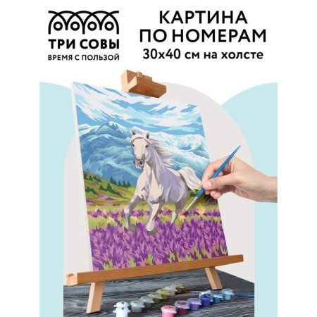 Картина по номерам на холсте ТРИ СОВЫ "Свобода" 30 x 40 см, краски, кисть RE-КХ_44094