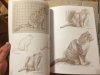 Книга Э: Кошки: Рисуем по сеткам 978-5-04-097529-7