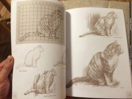 Книга Э: Кошки: Рисуем по сеткам 978-5-04-097529-7