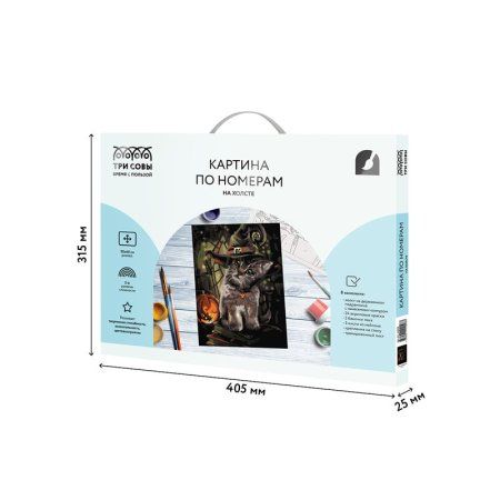 Картина по номерам на холсте ТРИ СОВЫ "Заколдованный котик" 30 x 40 см, краски, кисть RE-КХ_44098