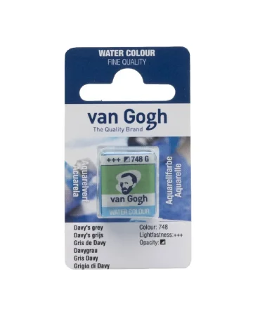 Краска акварельная VAN GOGH кювета №748 Серый Дэви RT20867481