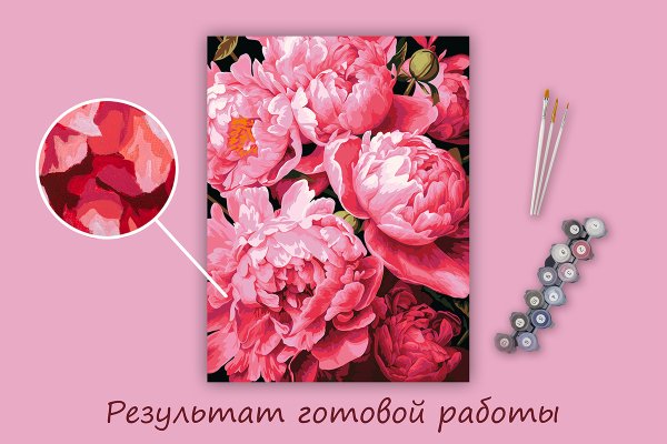 Набор для раскрашивания по номерам (холст на подрамнике) ФРЕЯ 40 х 30 см "Ароматные пионы" PNB/PM-354