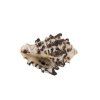 Ракушки декоративные ZLATKA / Blumentag 3 шт Murex Endivia DRF-004