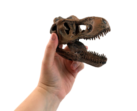 Набор анатомический Edu-Toys Скелет динозавра T-Rex 91 см VT026