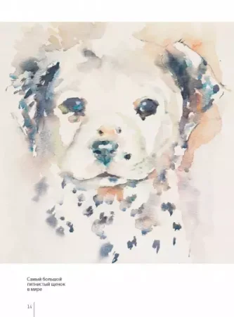 Книга: Атмосферная акварель. Свобода, выразительность и стиль. Новые советы и упражнения MIF-175032