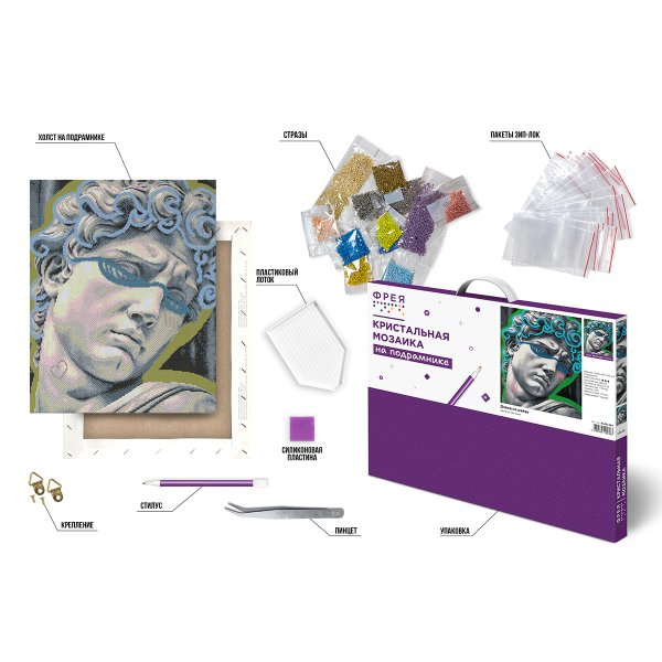 Кристальная (алмазная) мозаика ФРЕЯ на подрамнике "Давид на рейве" 40 х 50 см ALPD-287