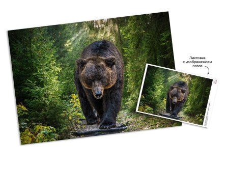 Пазл 1500 элементов ФРЕЯ "Медведь гризли на охоте" PZL-1500/27