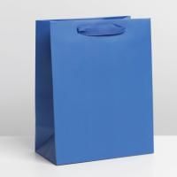 Пакет ламинированный "Синий" MS 18 x 23 x 10 см SIM-7304169