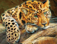 Алмазная мозайка: Африканский леопард 40 x 50 см CV-LG020