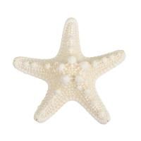 Звезда морская декоративная Blumentag 1 шт №05 белый MZF-001-05