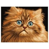Картина по номерам на картоне ТРИ СОВЫ "Пушистый котенок" 30 x 40 см, краски, кисть RE-КК_53805