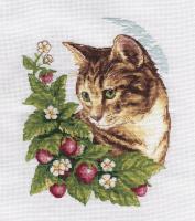 Набор для вышивания KLART "Кошка в клубнике" 20 x 24 см 8-174