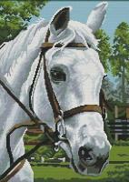 Алмазная мозаика: Белая лошадь 40 x 50 см CV-LG192