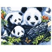 Картина по номерам на холсте ТРИ СОВЫ "Панды" 40 x 50 см, краски, кисть RE-КХ4050_53904