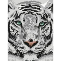 Картина по номерам на картоне ТРИ СОВЫ "Бенгальский тигр" 30 x 40 см, краски, кисть RE-КК_44025
