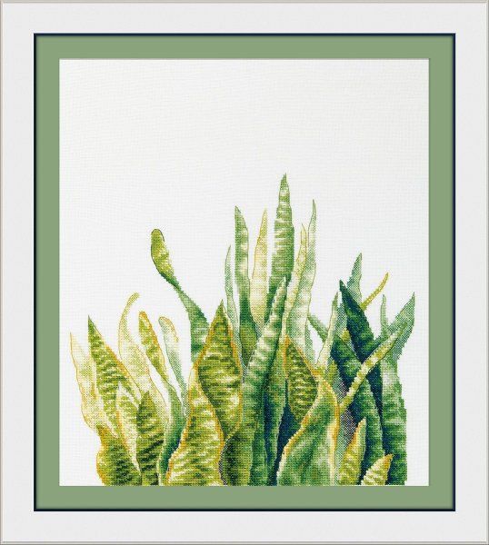 Набор для вышивания PANNA Сансевиерия 35 х 43.5 см C-7455 Набор для вышивания PANNA Сансевиерия 35 х 43.5 см C-7455