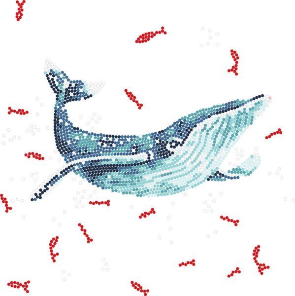 Кристальная (алмазная) мозаика ФРЕЯ постер "Кит и рыбки" 30 х 30 см ALBP-251 Кристальная (алмазная) мозаика ФРЕЯ постер "Кит и рыбки" 30 х 30 см ALBP-251