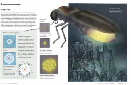 Книга: Как устроена жизнь на Земле MIF-469377 Книга: Как устроена жизнь на Земле MIF-469377