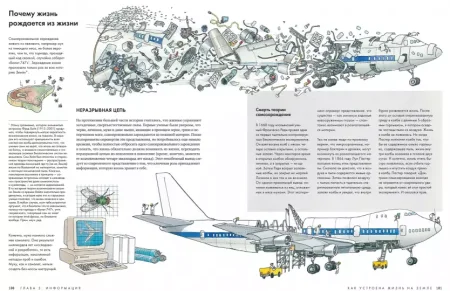 Книга: Как устроена жизнь на Земле MIF-469377 Книга: Как устроена жизнь на Земле MIF-469377